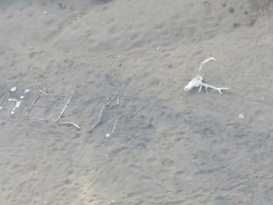 This aerial photo taken Saturday shows a "help" sign made by Ann Rodgers, 72, in the White Mountains of eastern Arizona.