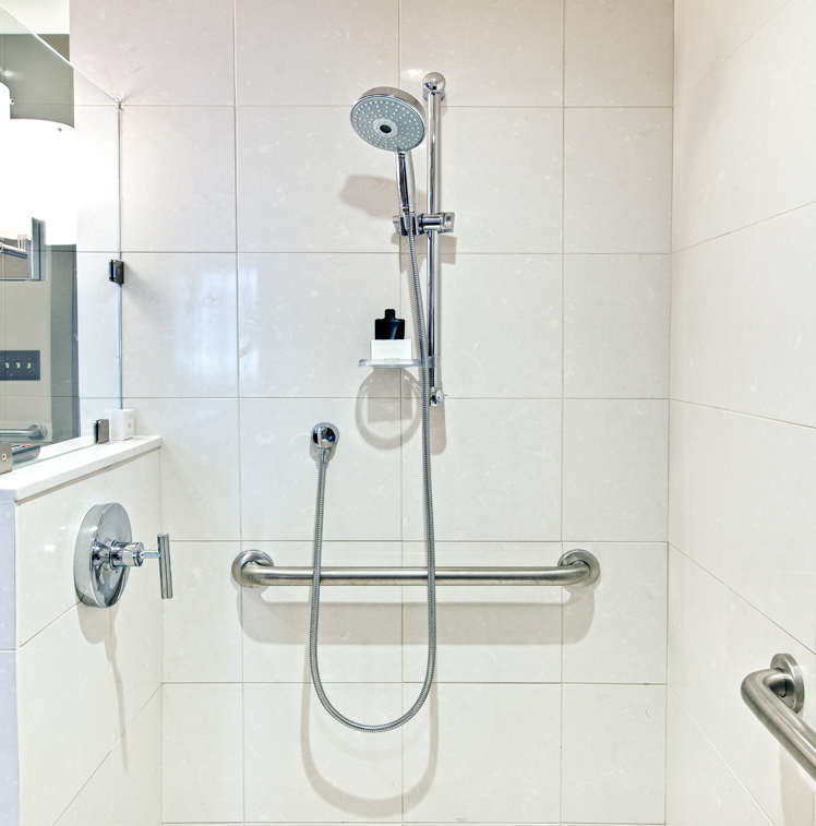 Accessible shower with multiple hand rails and a glass wall